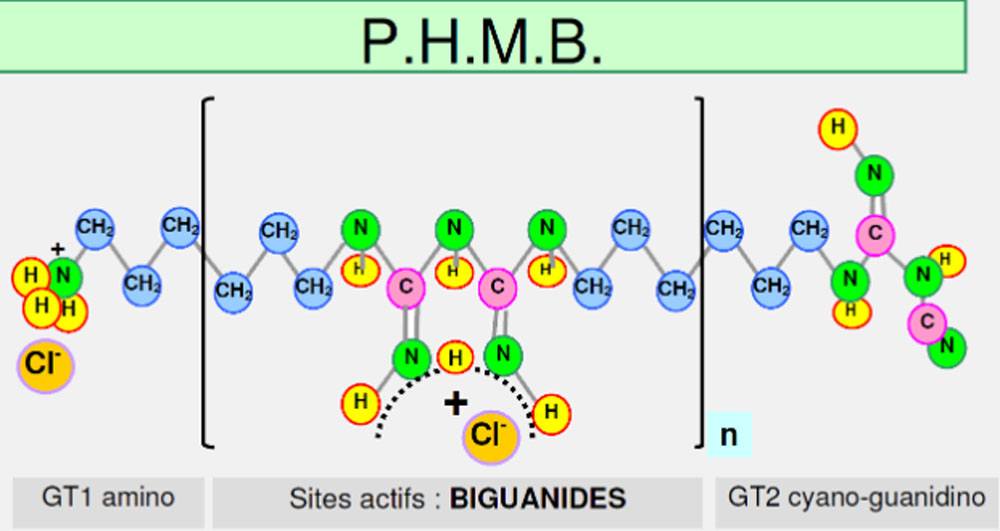 页面描述图-PHMB structure